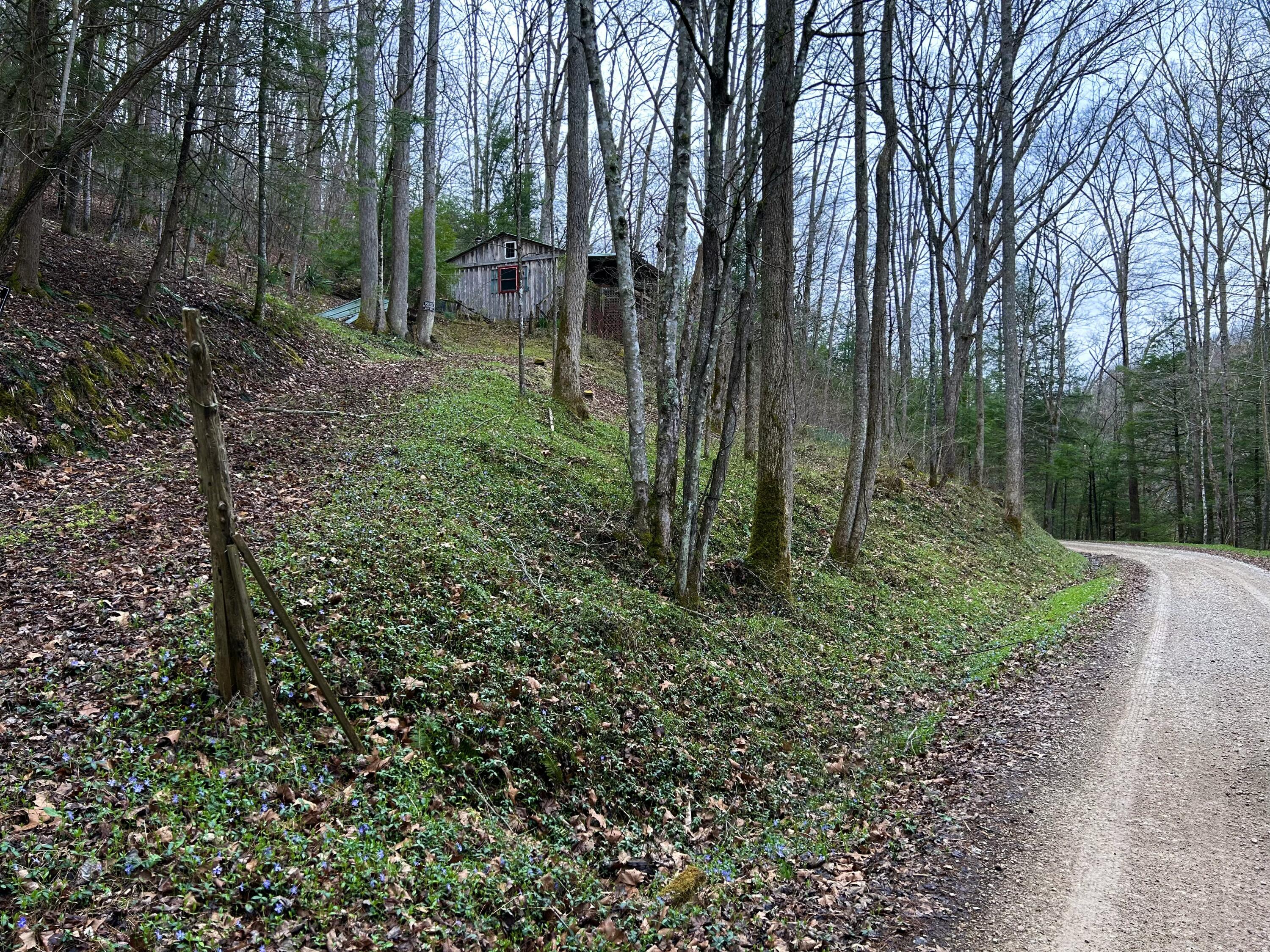 9999 Raccoon Creek Road McKee, KY 40447 - Photo 3 of 19 IMG_1015