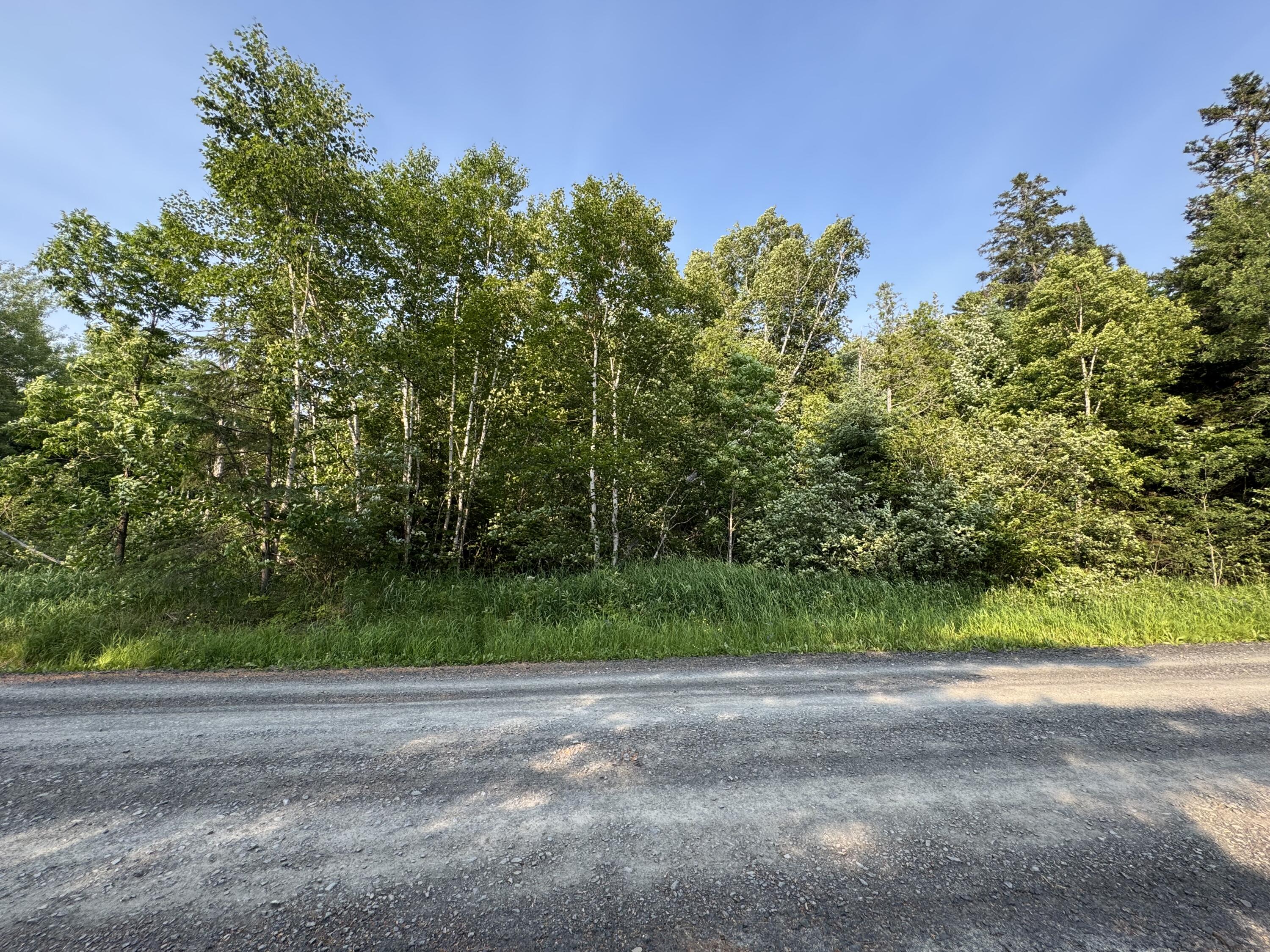 157 Cyr Road Sinclair, ME 04779 - Photo 7 of 30 IMG_4353