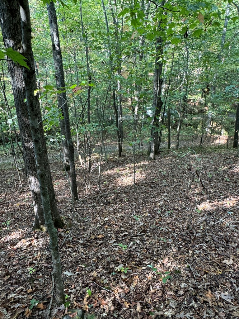 60 Brookhaven Lane Blue Ridge, GA 30513 - Photo 10 of 14