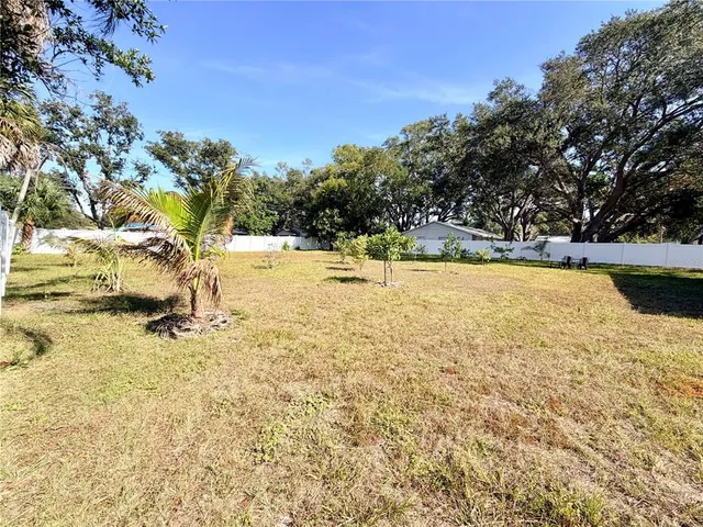 a view of yard with green space