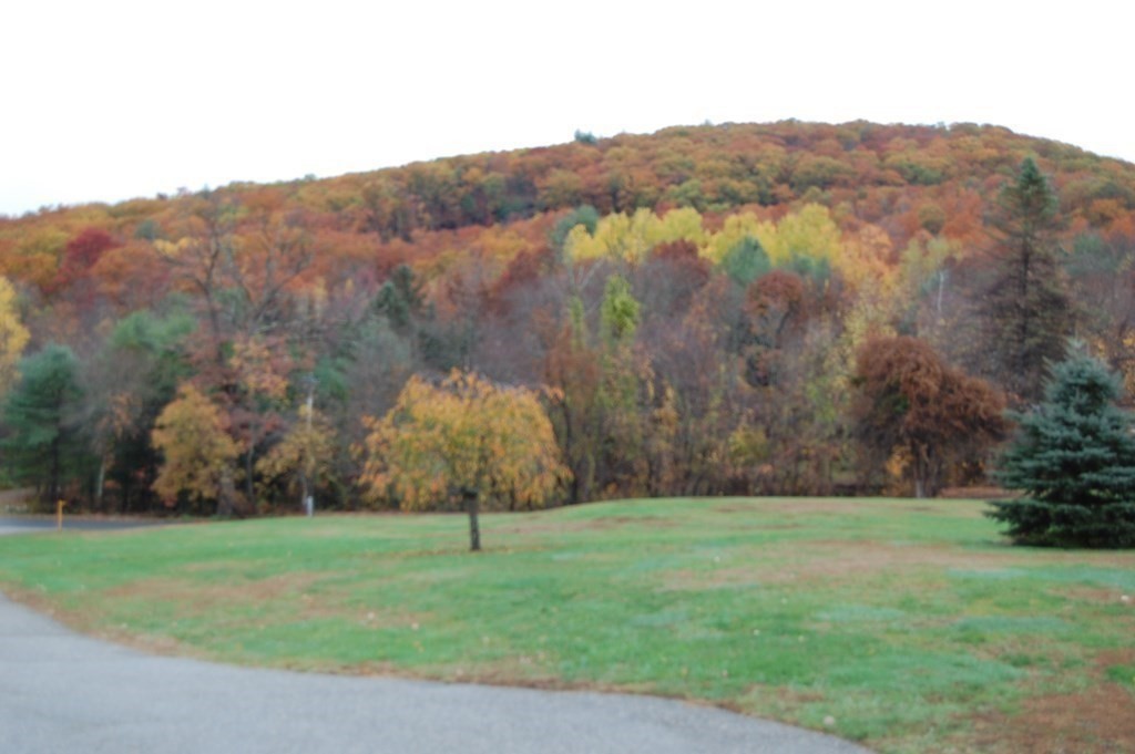 215 Crouch Road Warren, MA 01092 - Photo 7 of 33 a view of a field with a tree
