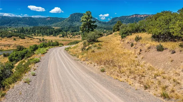 a view of a pathway with a yard