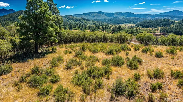 a view of lake and green space