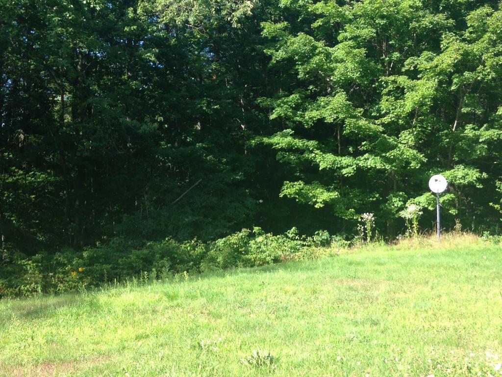 289 Flaghole Road Andover, NH 03216 - Photo 3 of 30