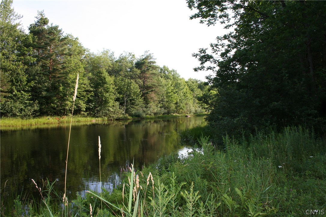 0 Sharp Road Lorraine, NY 13659 - Photo 4 of 10 Gallery Image 4