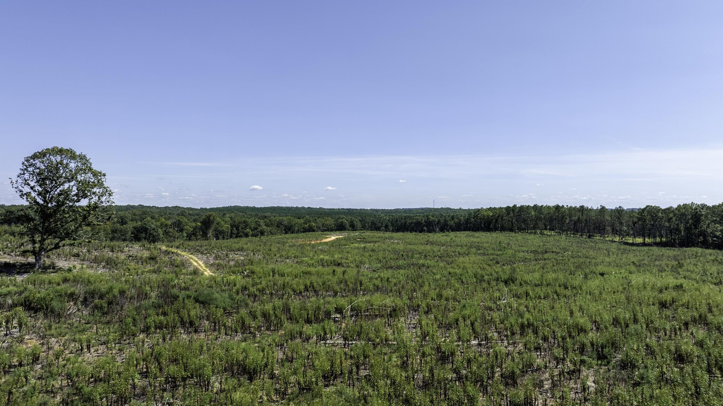 Cowens Bridge Road Gray Court, SC 29645 - Photo 23 of 24