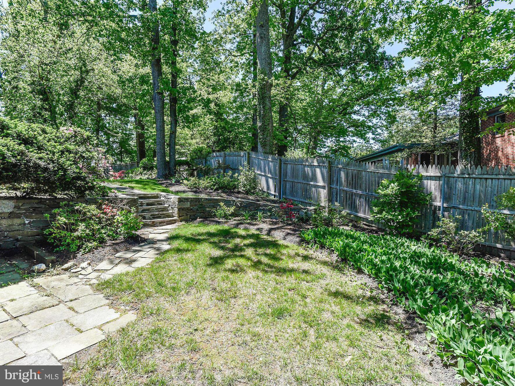 10134 Riggs Road Adelphi, MD 20783 - Photo 5 of 30 Rear Yard