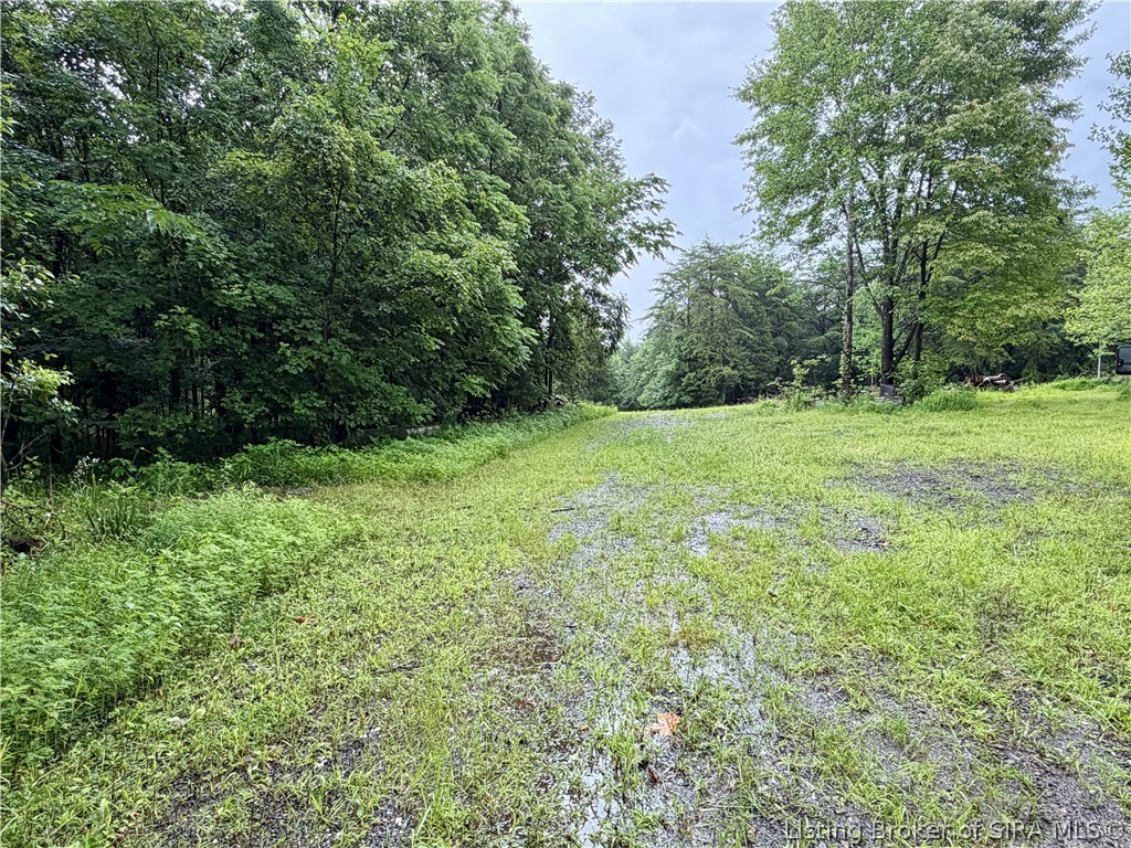 Pfister Road Otisco, IN 47163 - Photo 12 of 50