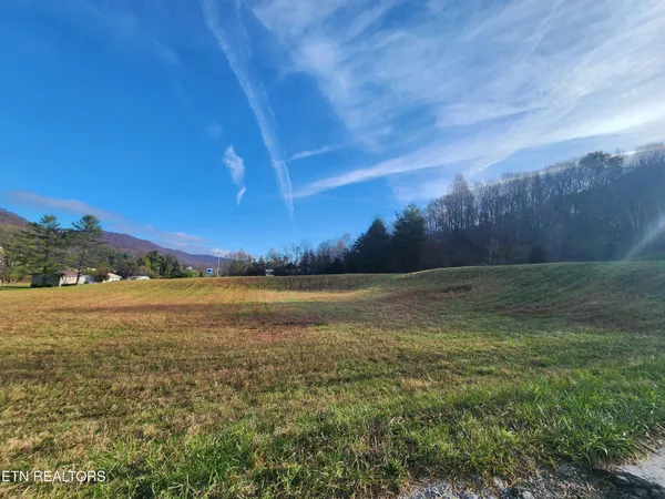 $170,000 | Dr Thomas Walker Road, Rose Hill, VA 24281
