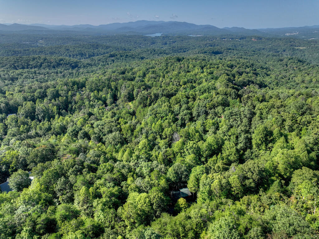 255 Blue Ridge Trail Morganton, GA 30560 - Photo 50 of 50 Gallery Image 50