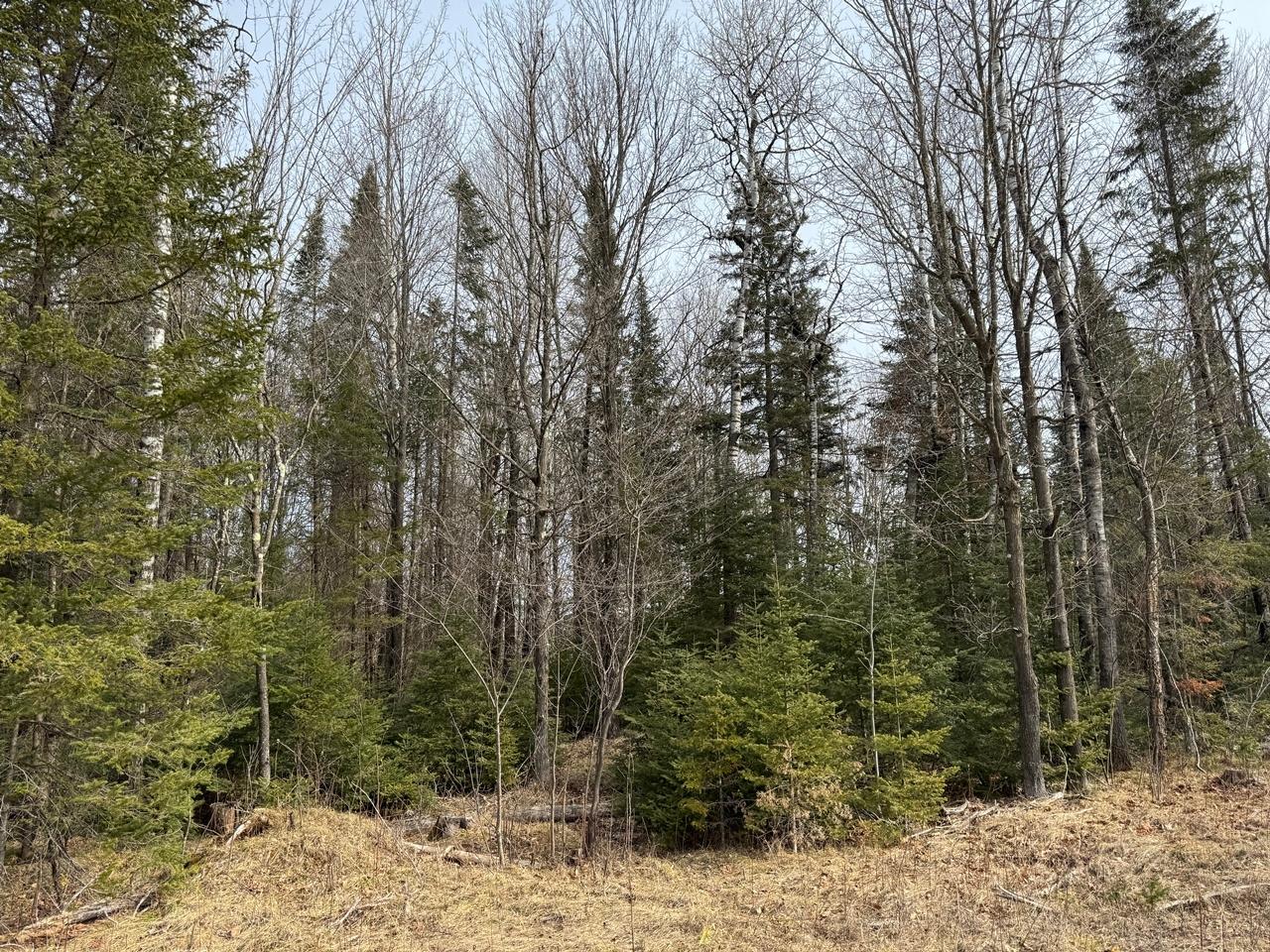 Parcel B Parcel B Private Road Butternut, WI 54514 - Photo 2 of 8 Gallery Image 2