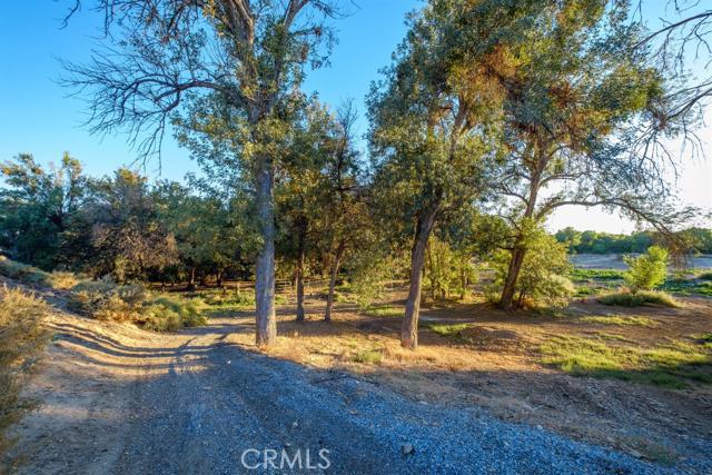 15222 Riverside Drive Apple Valley, CA 92307 - Photo 32 of 43 a view of yard with tree