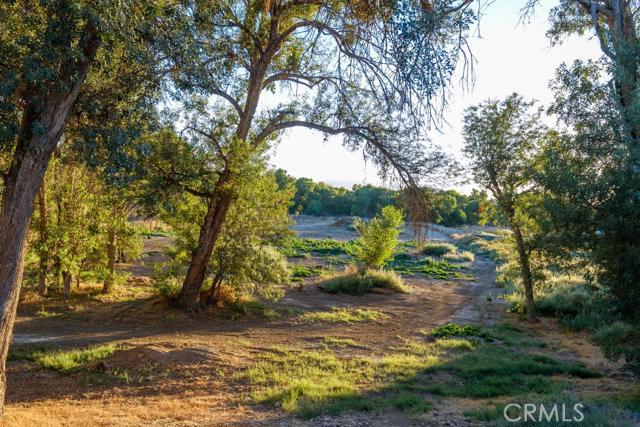 15222 Riverside Drive Apple Valley, CA 92307 - Photo 38 of 43 a view of yard