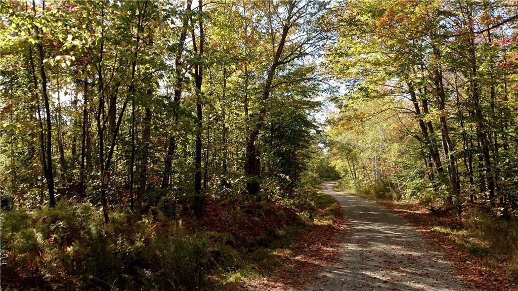 Lot 3 West Sam Rowe Ridge Springfield, ME 04487 - Photo 2 of 3 Photo
