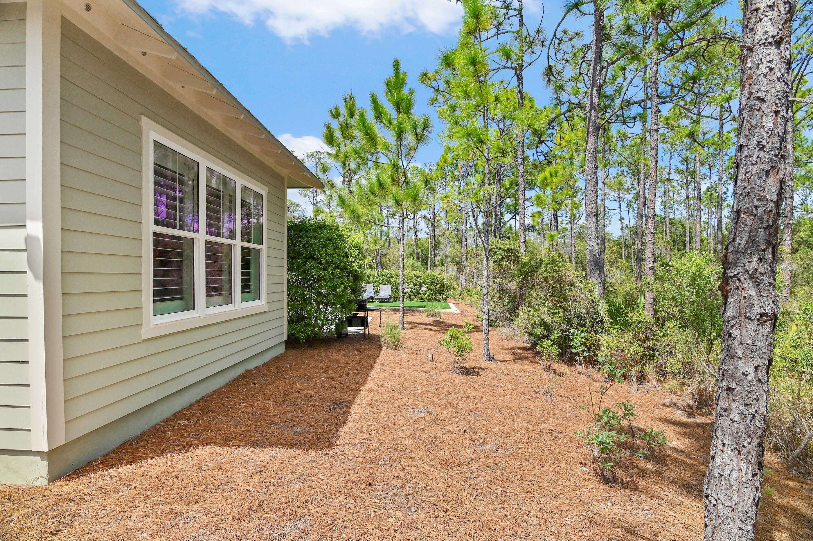 110 Prairie Pass Santa Rosa Beach, FL 32459 - Photo 10 of 58 web_110 Prairie Pass _25