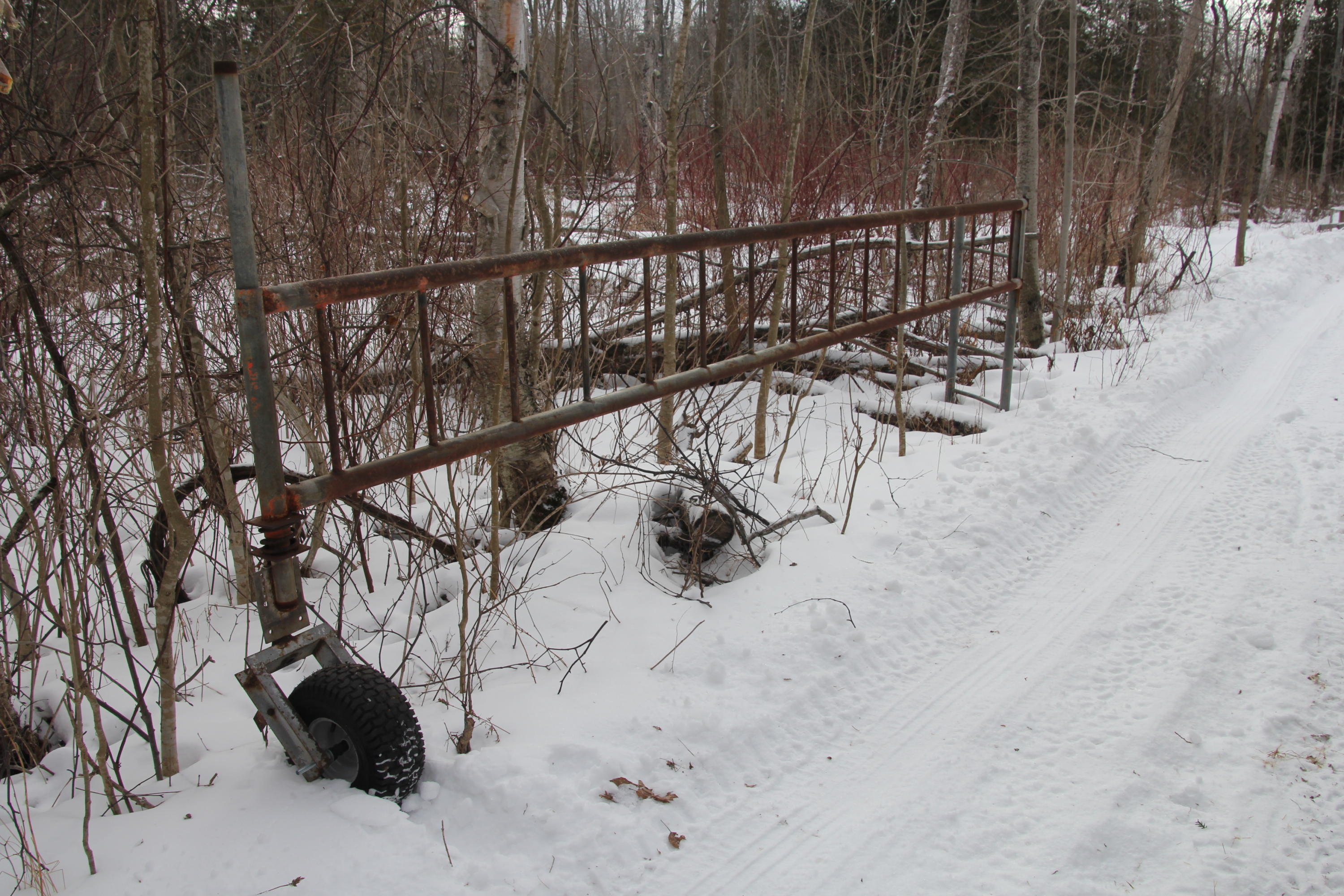 40-acres Tolan Road Spruce, MI 48762 - Photo 16 of 95 Gallery Image 16