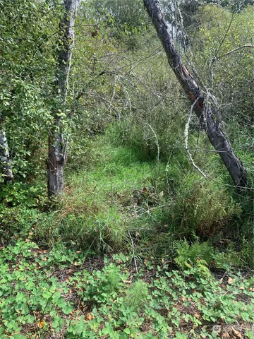 $599,950 | 93-xx Meadowbrook Way Southeast, Snoqualmie, WA 98065