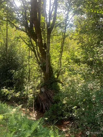 $590,000 | 93-xx Meadowbrook Way Southeast, Snoqualmie, WA 98065