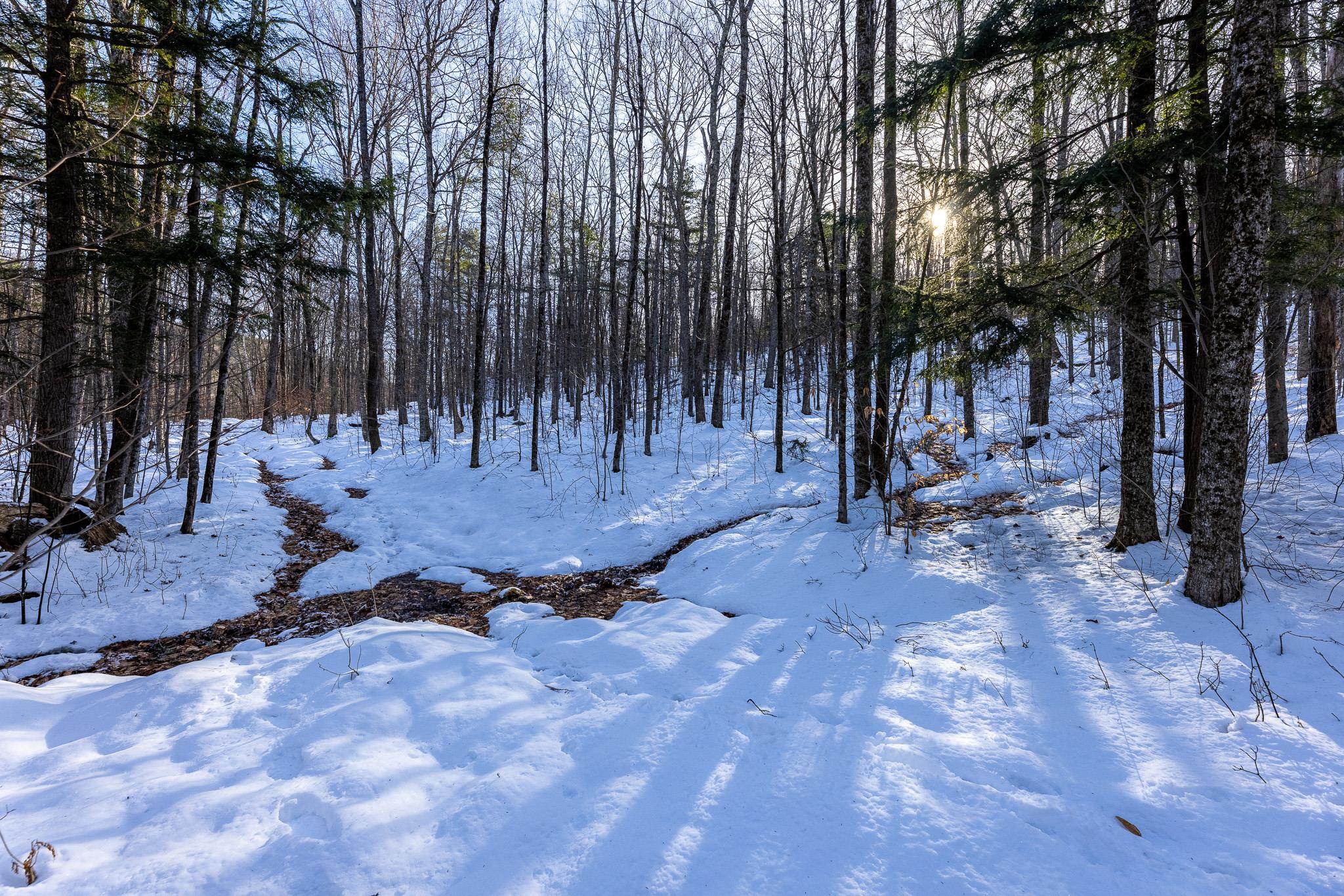 3419 Sawnee Bean Road Thetford Center, VT 05075 - Photo 3 of 14 Gallery Image 3