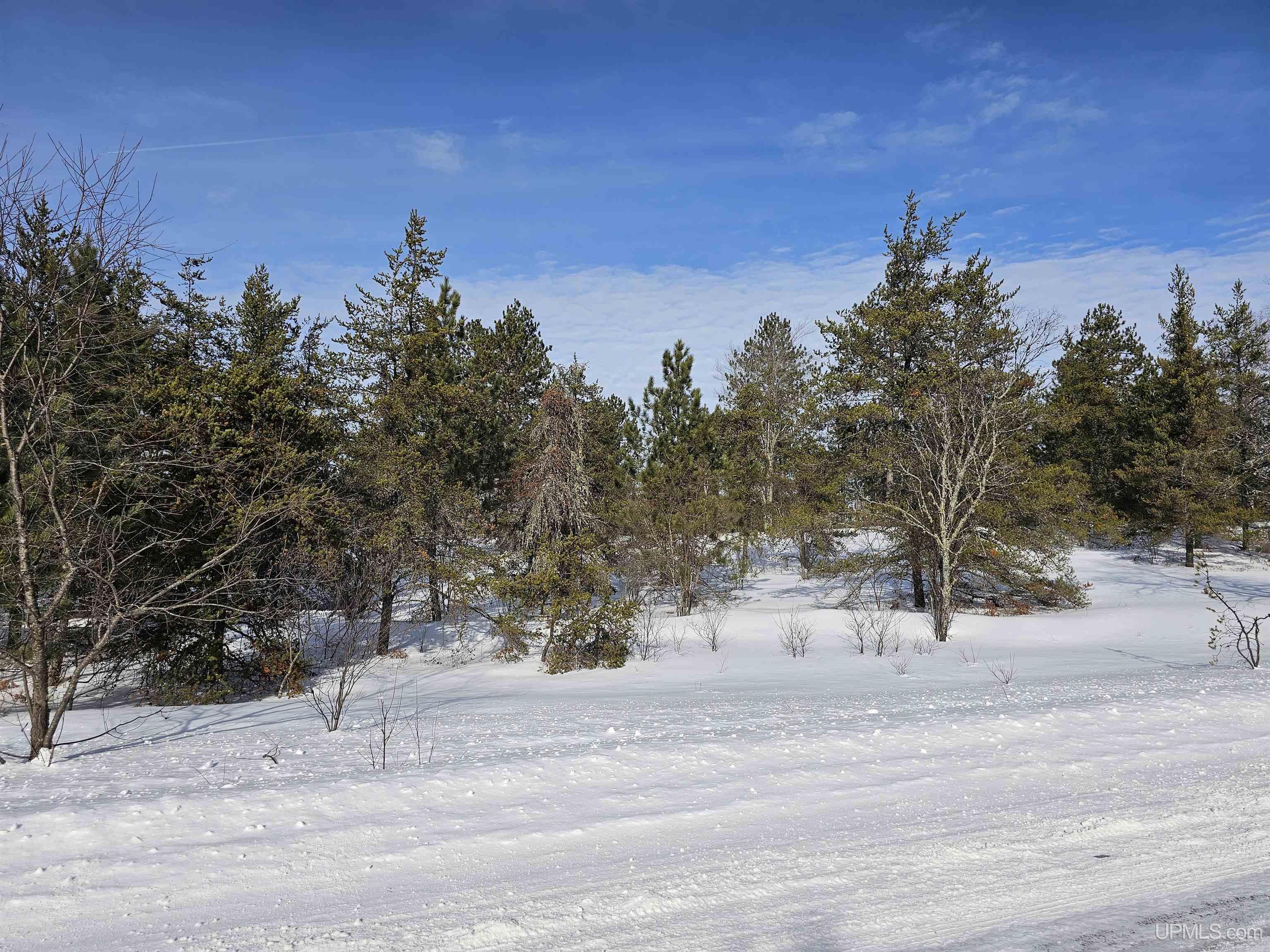 80 Acres Off Co Road Ishpeming, MI 49849 - Photo 3 of 5