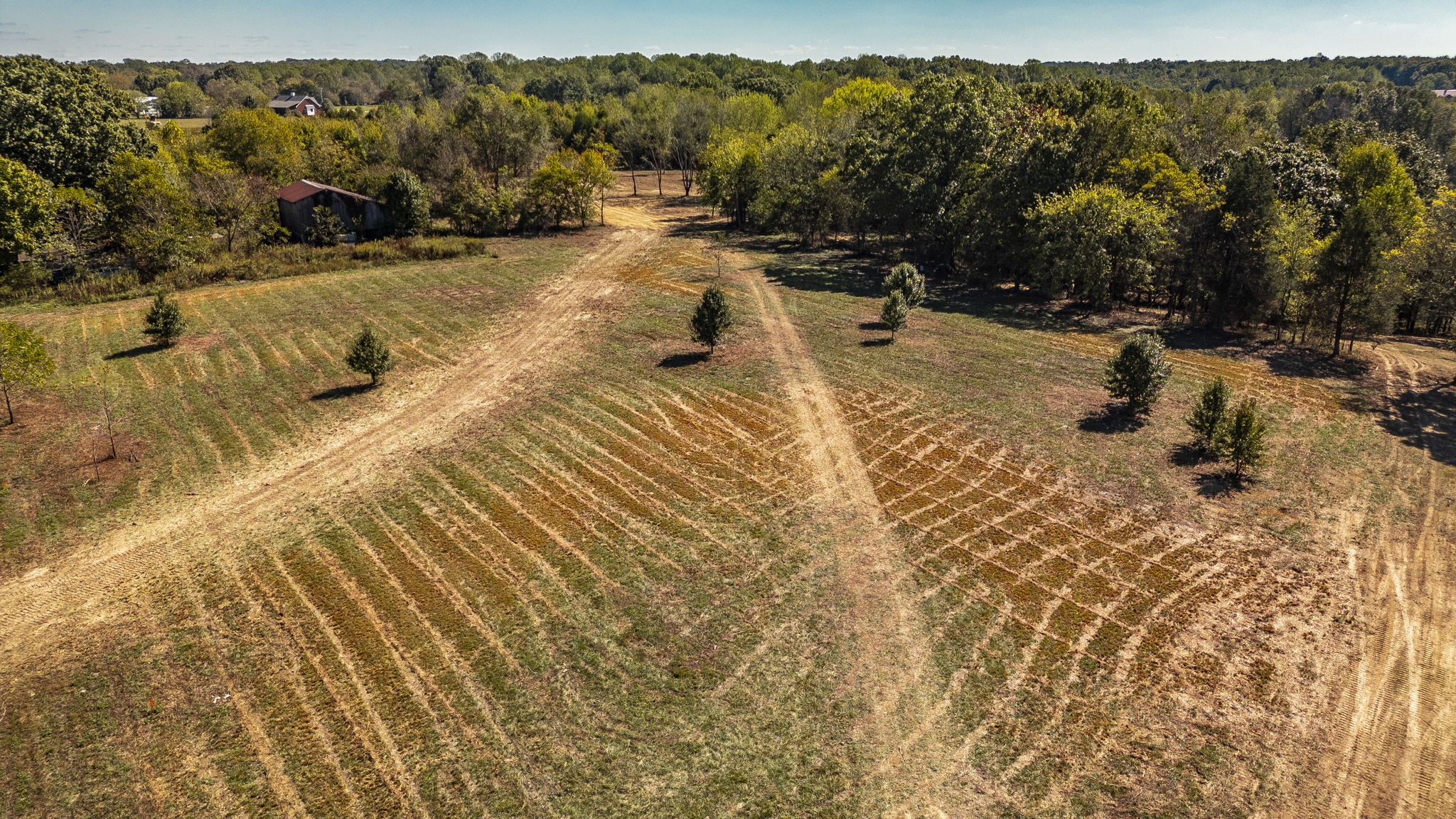 4 Rock Bridge Road Bethpage, TN 37022 - Photo 15 of 18 a view of swimming pool with a yard
