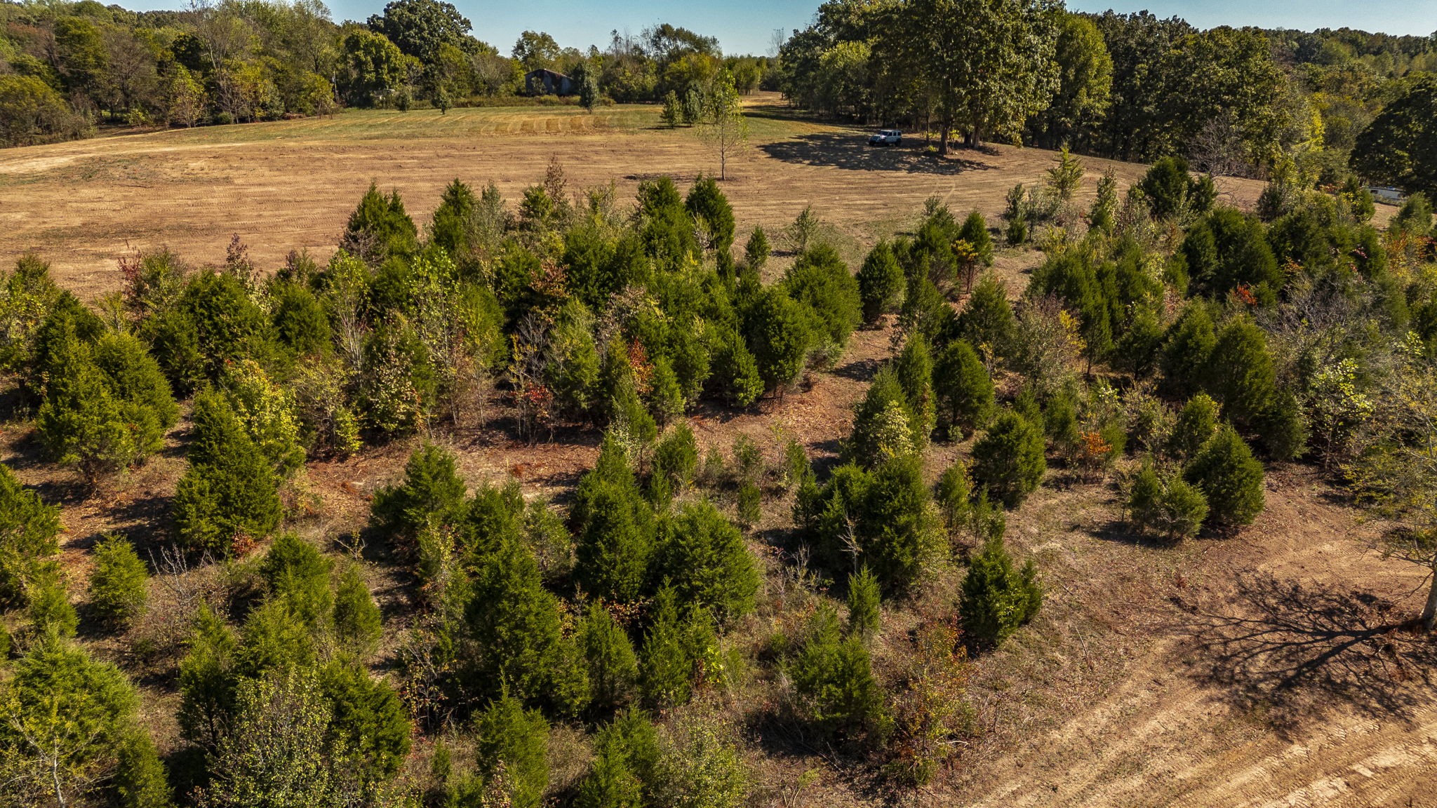 4 Rock Bridge Road Bethpage, TN 37022 - Photo 17 of 18 a view of lake with green space