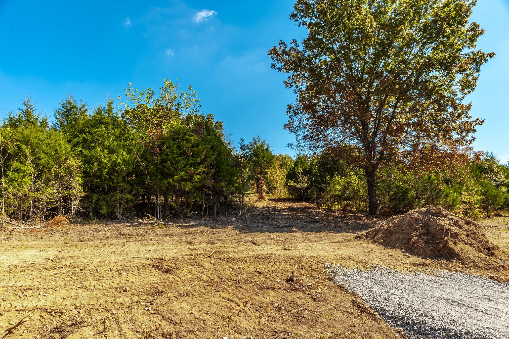 4 Rock Bridge Road Bethpage, TN 37022 - Photo 18 of 18 a view of yard covered with snow in front of house