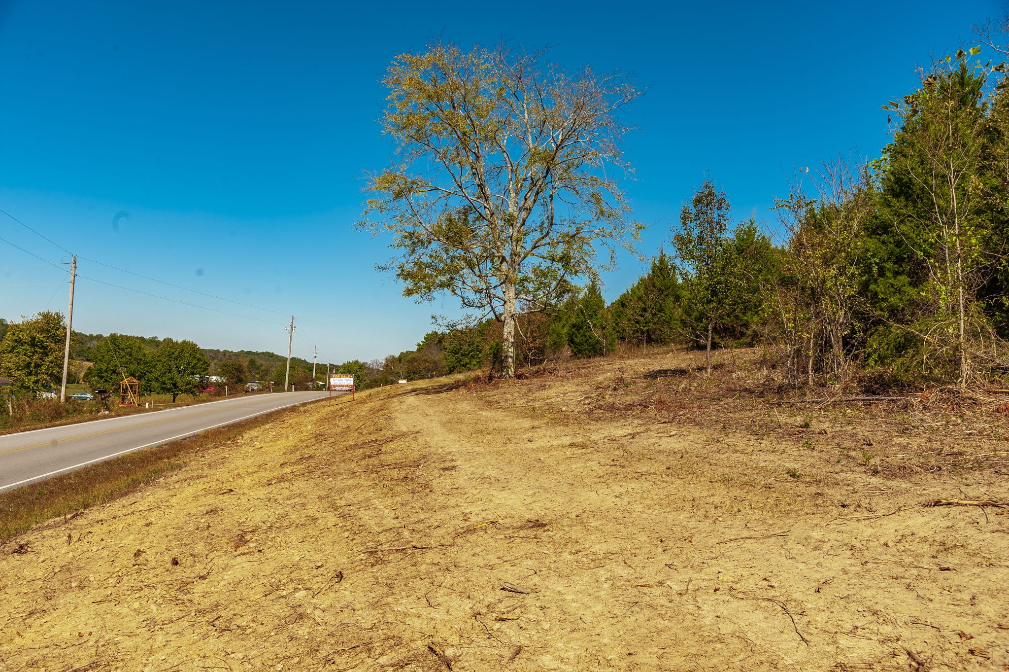 4 Rock Bridge Road Bethpage, TN 37022 - Photo 4 of 18 a view of a yard with a tree