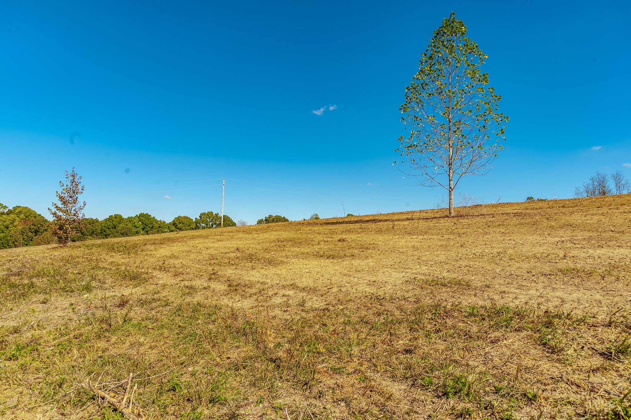 4 Rock Bridge Road Bethpage, TN 37022 - Photo 5 of 18 a view of an ocean from a balcony