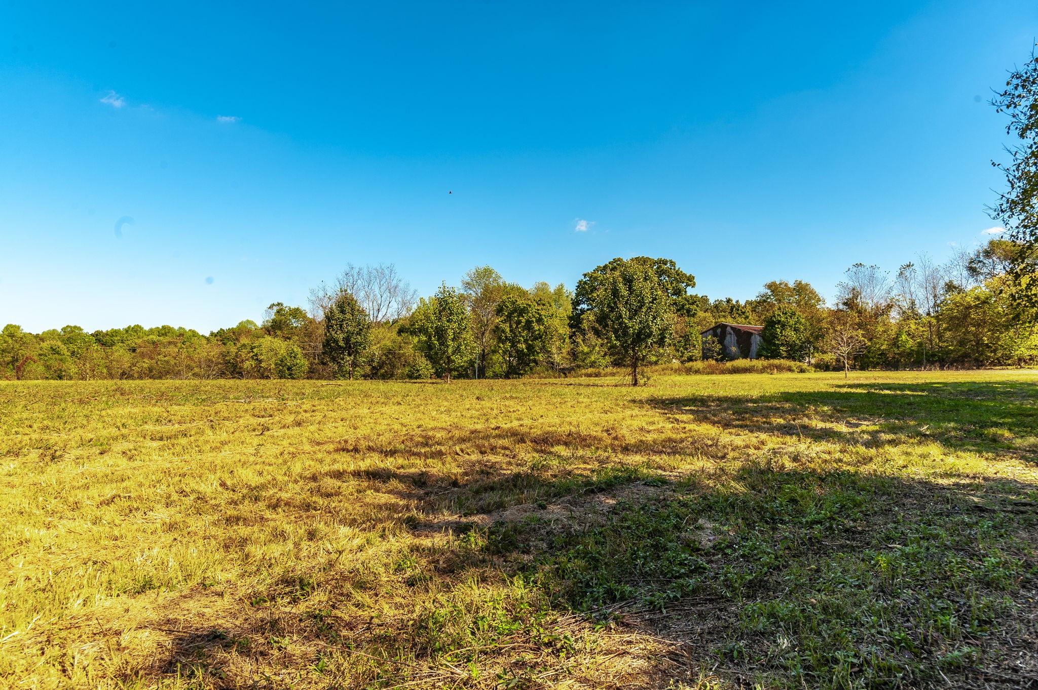 4 Rock Bridge Road Bethpage, TN 37022 - Photo 7 of 18 a view of an ocean view