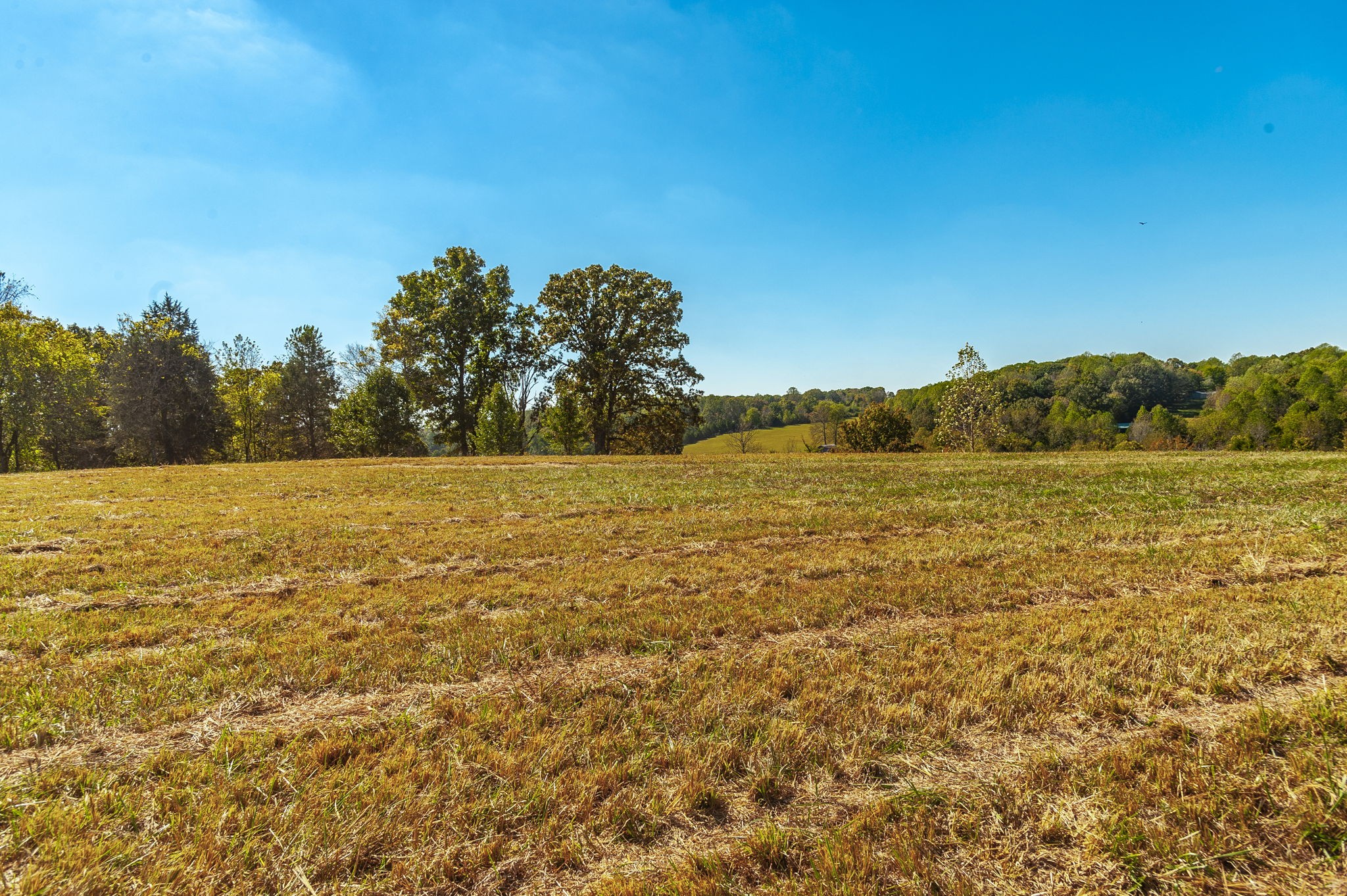 4 Rock Bridge Road Bethpage, TN 37022 - Photo 10 of 18 a view of an ocean and beach