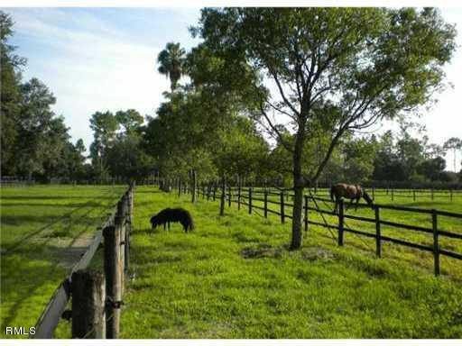 2550 B Road Loxahatchee, FL 33470 - Photo 4 of 6 Padocks
