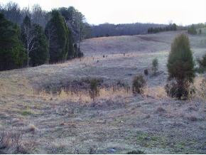 0 Pitt Loop Fall Branch, TN 37656 - Photo 1 of 5 Photo 1