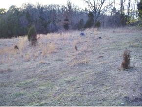 0 Pitt Loop Fall Branch, TN 37656 - Photo 2 of 5 Photo 2