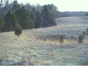 0 Pitt Loop Fall Branch, TN 37656 - Photo 5 of 5 Photo 5