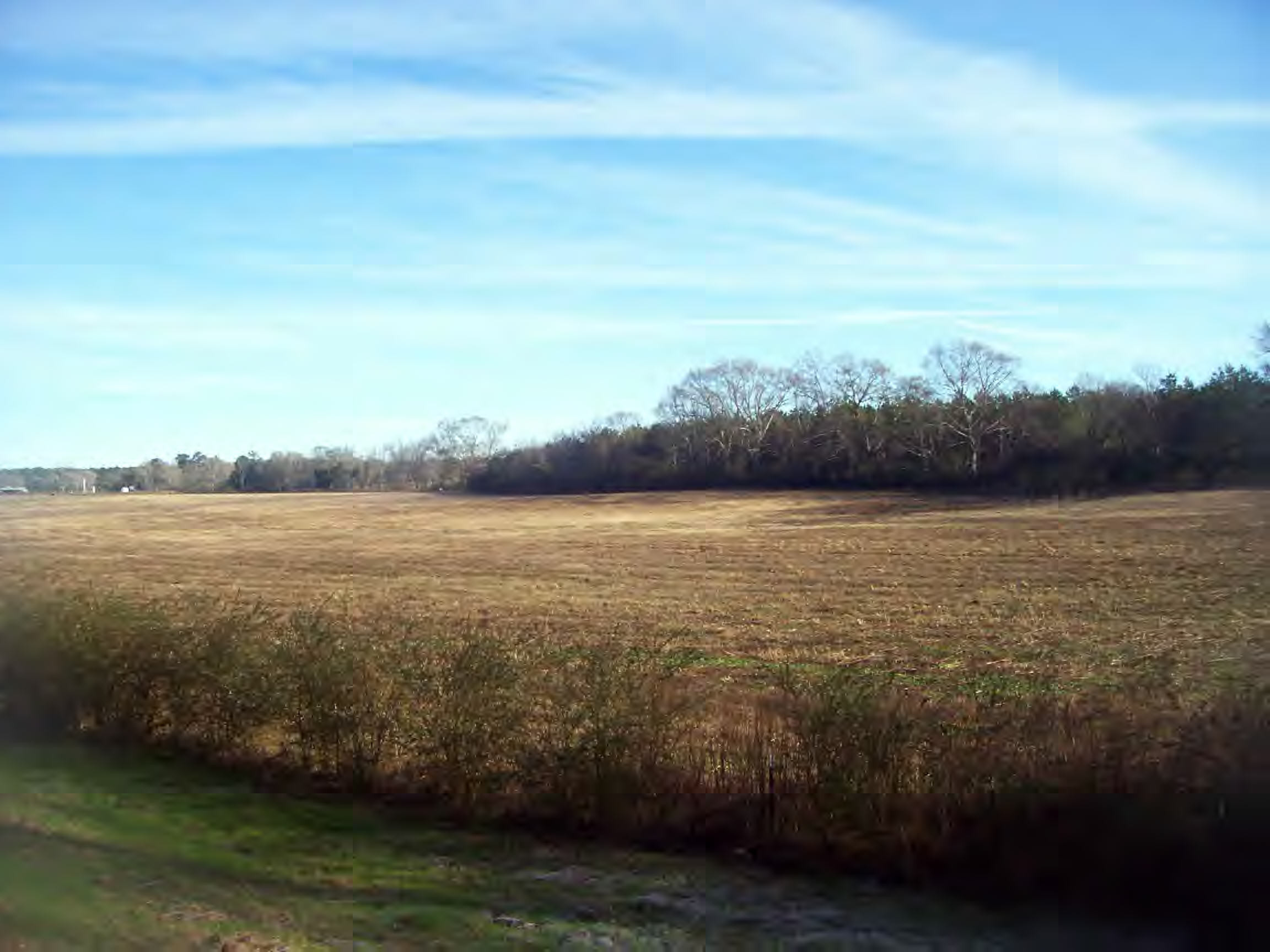 Mcmillan Road Osyka, MS 39657 - Photo 1 of 1 Main View