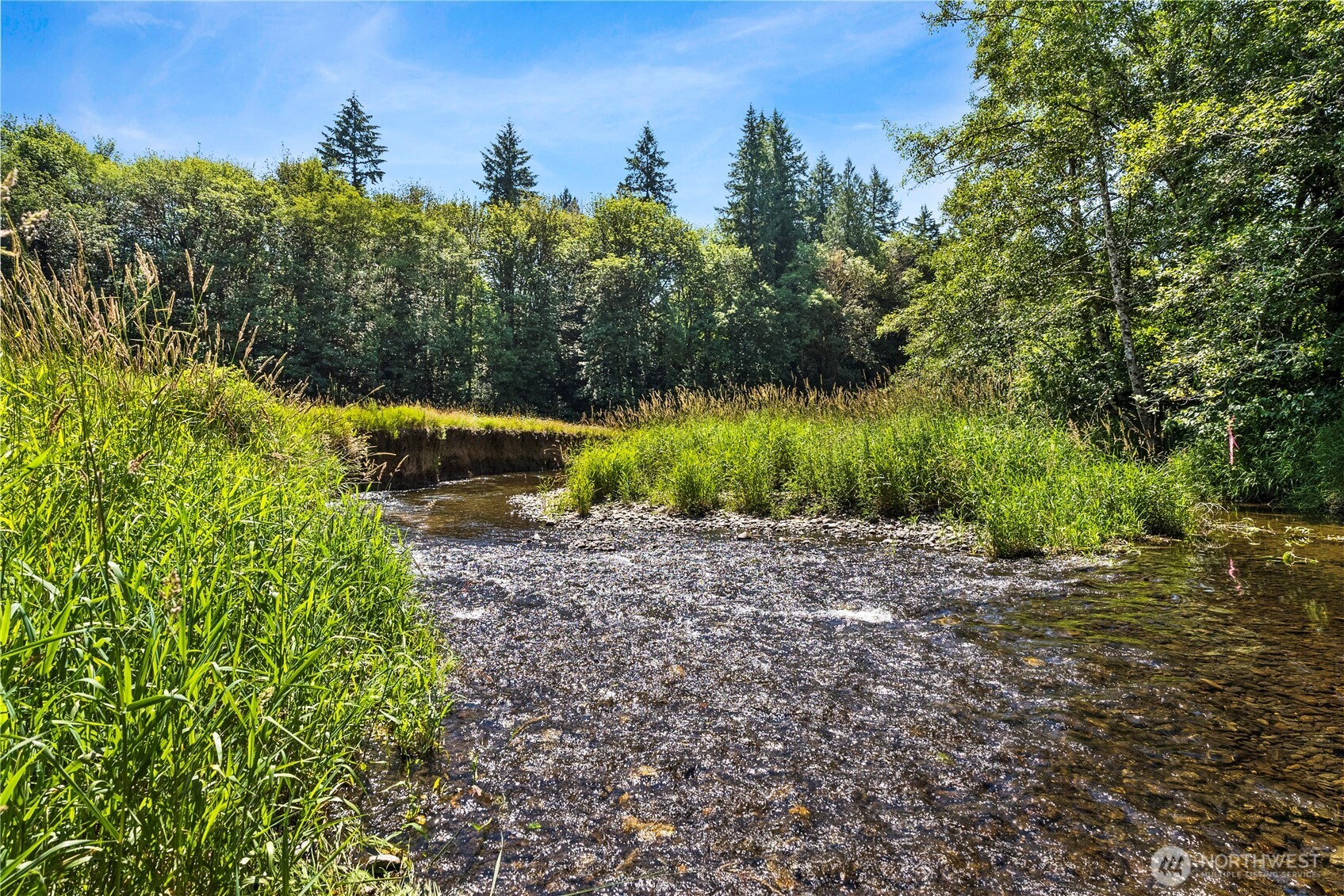223 Porter Creek Road Elma, WA 98541 - Photo 36 of 40
