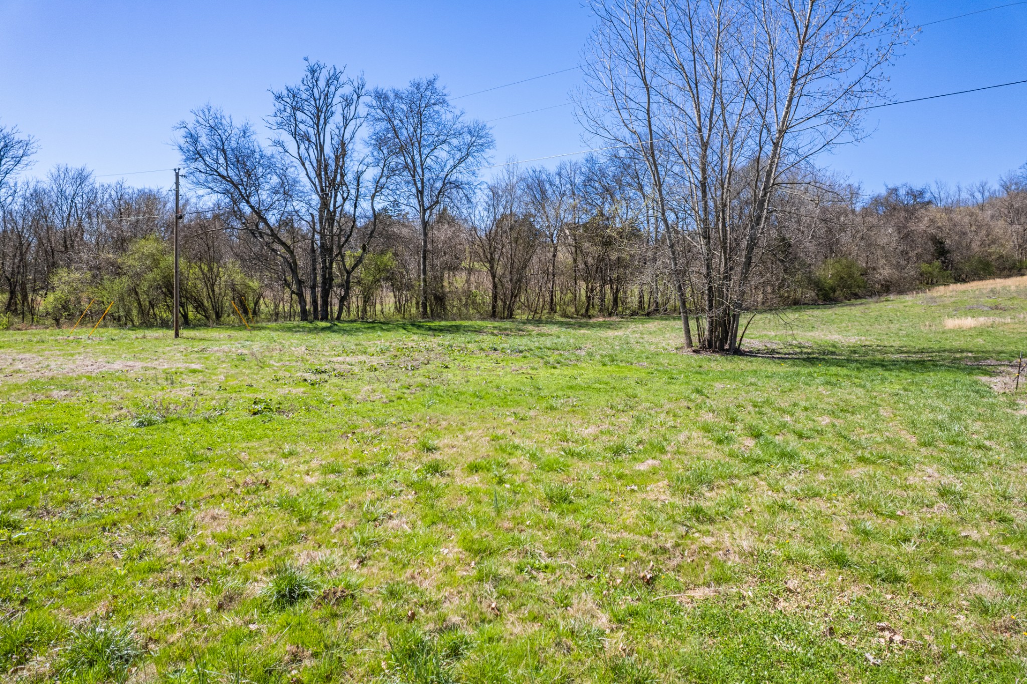 0 Dowell Branch Road Columbia, TN 38401 - Photo 55 of 60 Gallery Image 55