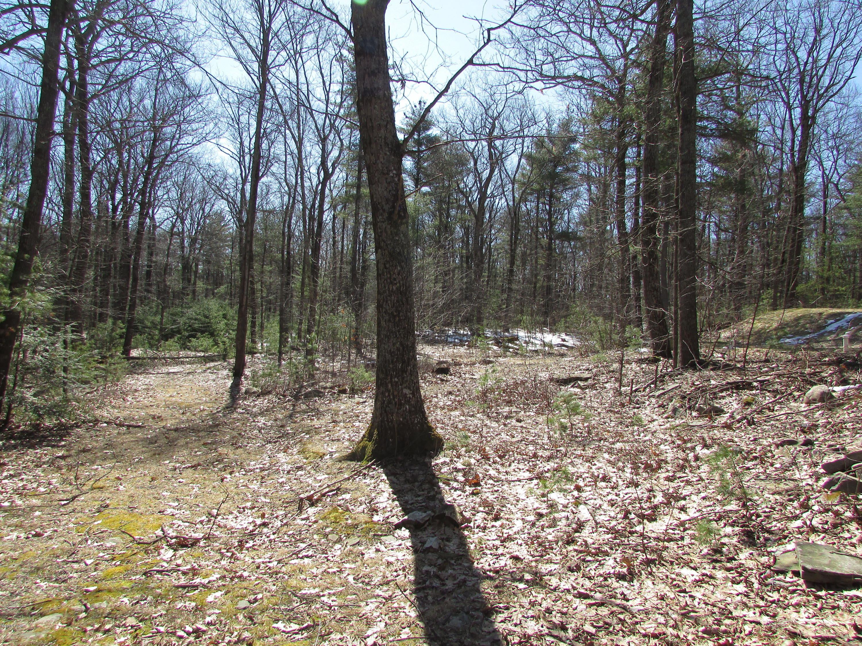 167 Pedersen Ridge Road Milford, PA 18337 - Photo 18 of 19 Wooded Privacy