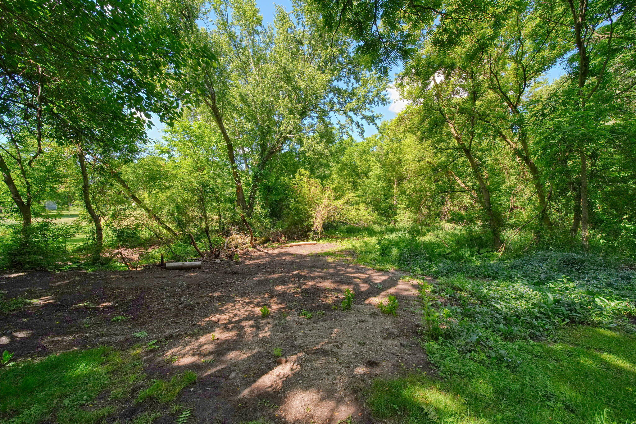 10500 Moscow Road Jonesville, MI 49250 - Photo 50 of 57 81-web-or-mls-DSC06100_HDR