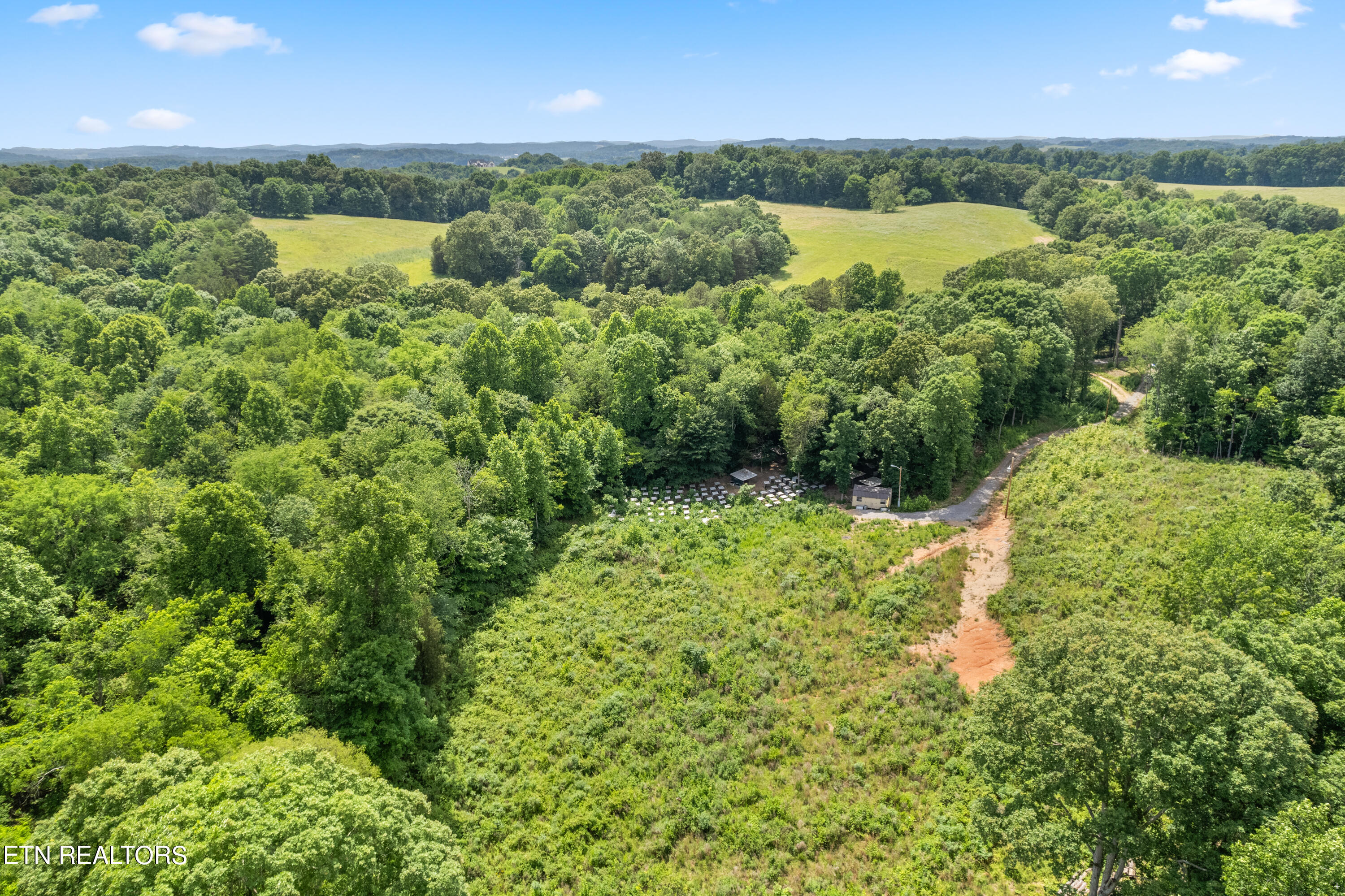 4500 Old Sugar Limb Road Loudon, TN 37774 - Photo 11 of 16 Positive Perceptions-10