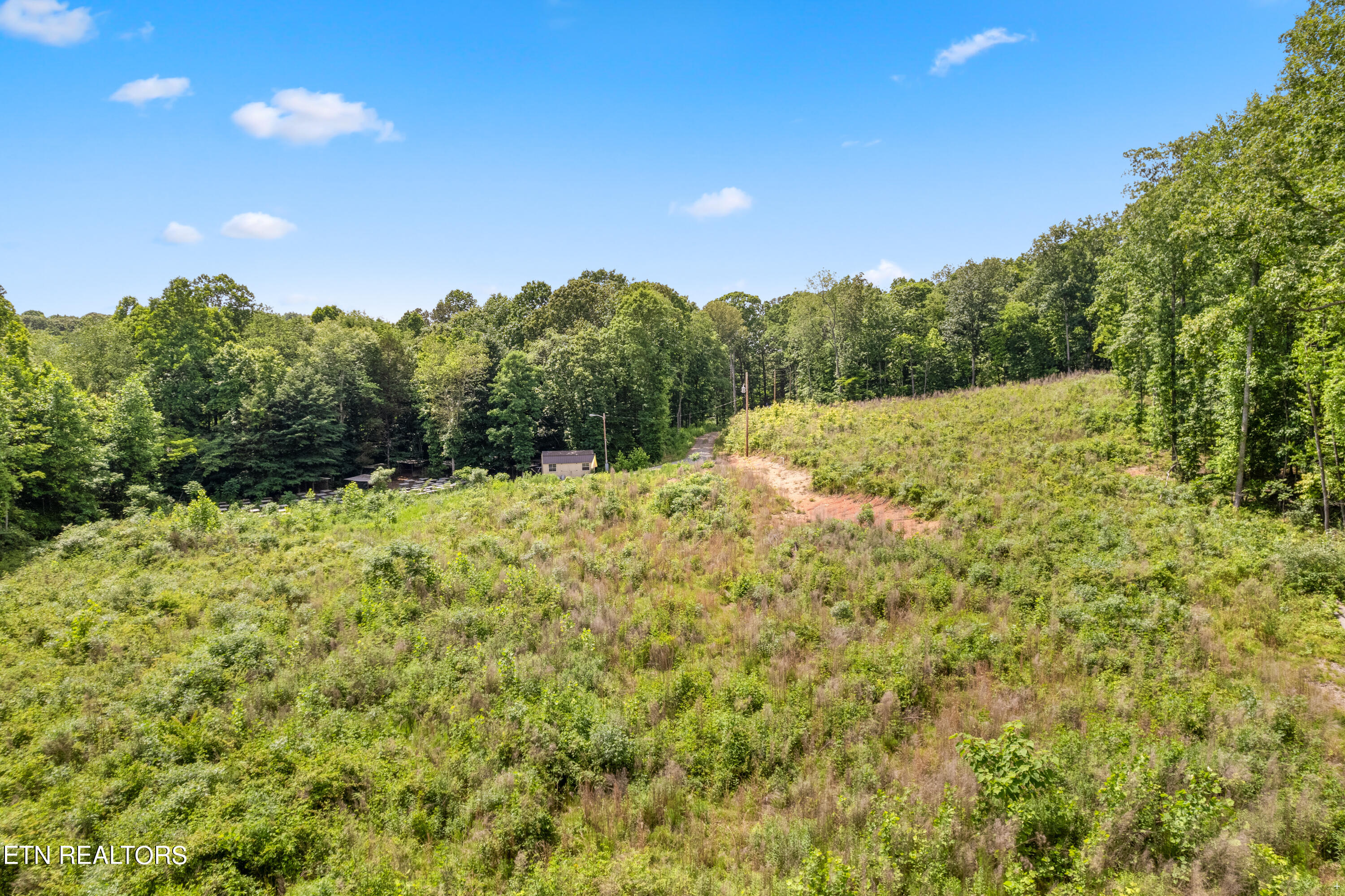 4500 Old Sugar Limb Road Loudon, TN 37774 - Photo 9 of 16 Positive Perceptions-8
