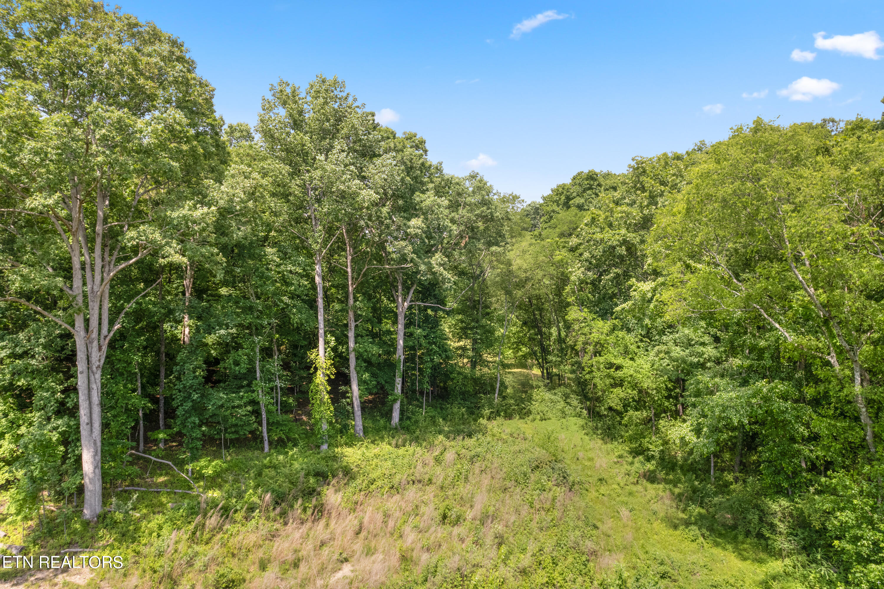 4500 Old Sugar Limb Road Loudon, TN 37774 - Photo 10 of 16 Positive Perceptions-9