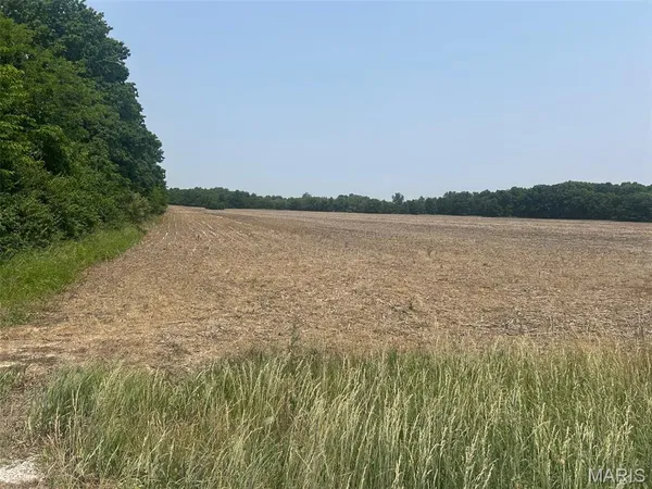 $1 | 929 Audrain Road 929, Mexico, MO 65265