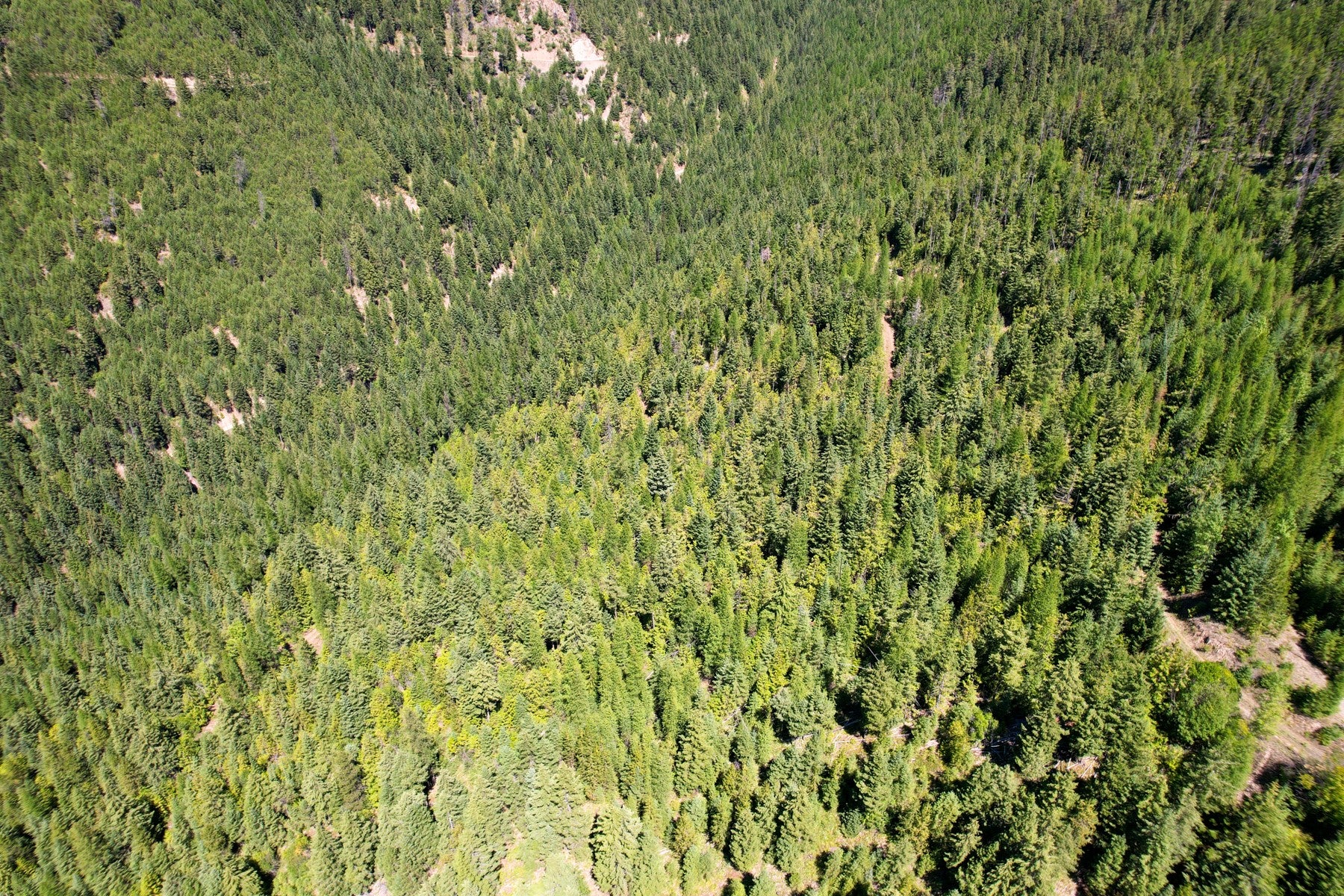 2 Pardee Flat Road Superior, MT 59872 - Photo 1 of 30 Gallery Image 1