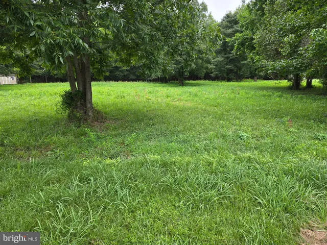a view of outdoor space with deck and yard