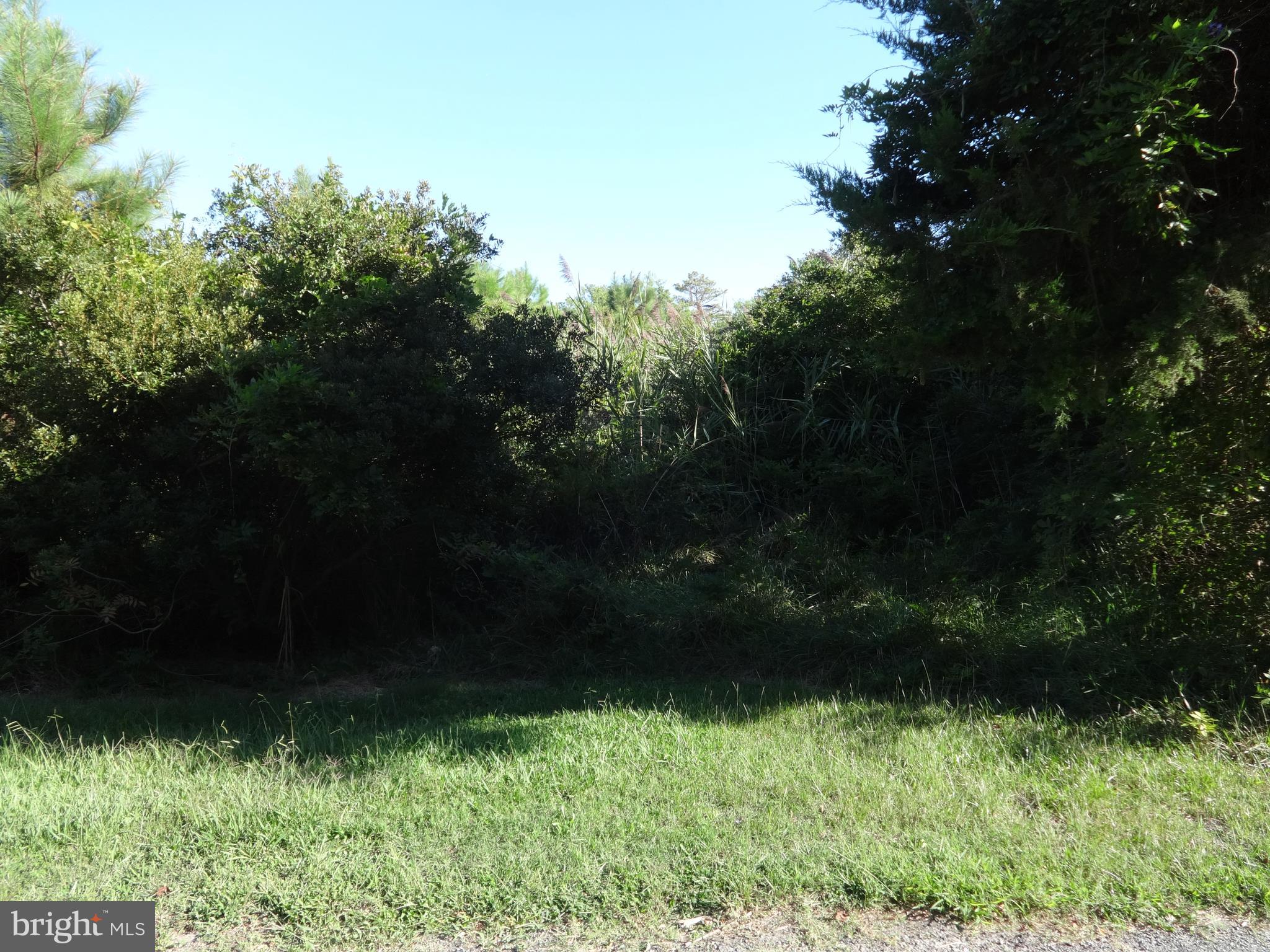 7500 Lower Hill Road Westover, MD 21871 - Photo 1 of 2 Gallery Image 1