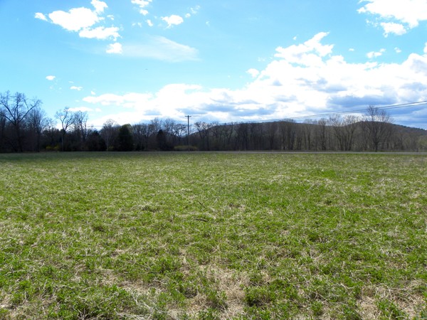 0 Falls Road Sunderland, MA 01375 - Photo 1 of 3 Gallery Image 1