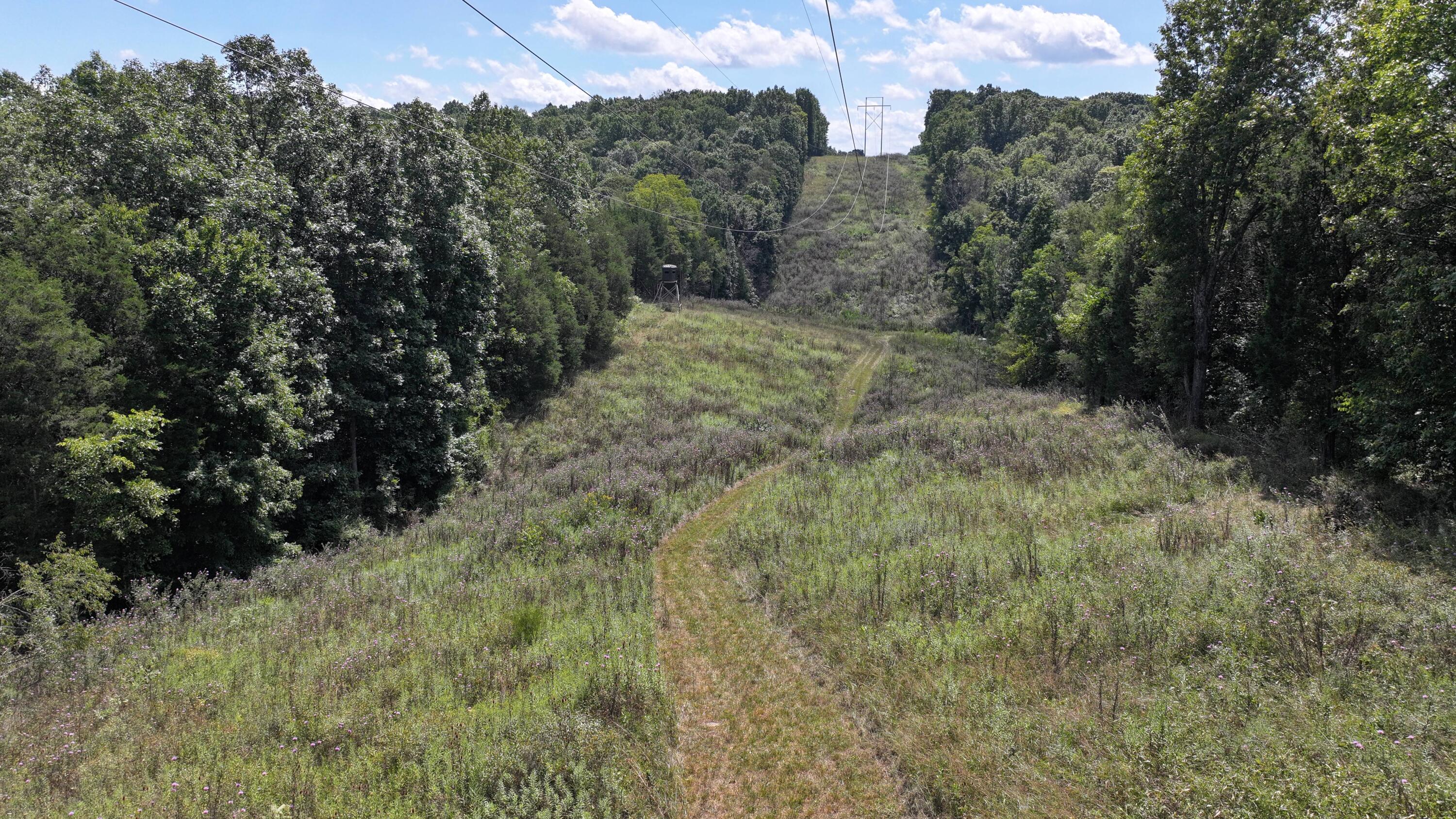 0 Caney Creek Road Owenton, KY 40359 - Photo 22 of 35