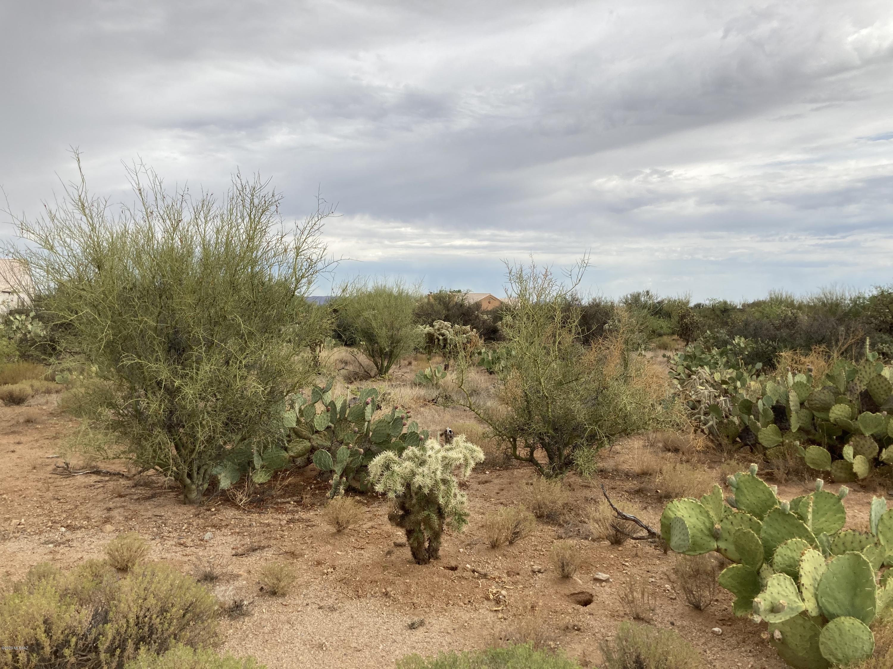 16164 West Lynnette Road, Unit 311 Tucson, AZ 85736 - Photo 1 of 4